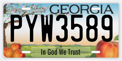GA license plate PYW3589