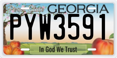 GA license plate PYW3591