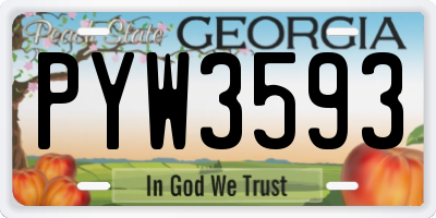 GA license plate PYW3593