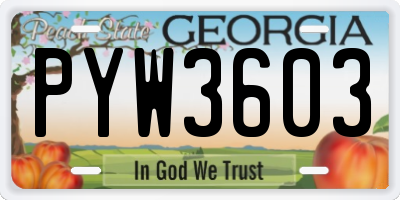 GA license plate PYW3603