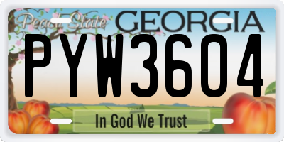 GA license plate PYW3604