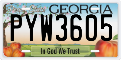 GA license plate PYW3605