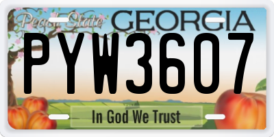 GA license plate PYW3607
