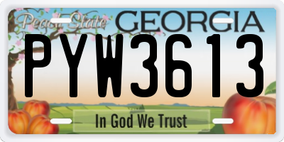 GA license plate PYW3613