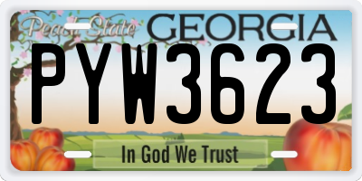 GA license plate PYW3623