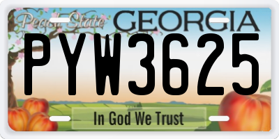 GA license plate PYW3625