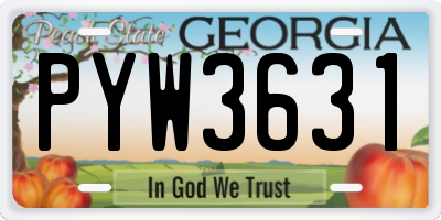 GA license plate PYW3631