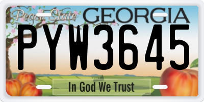 GA license plate PYW3645
