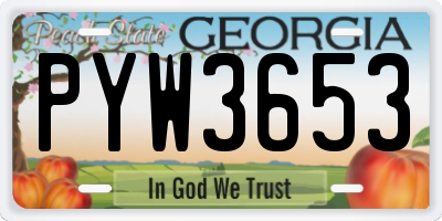 GA license plate PYW3653