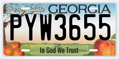 GA license plate PYW3655