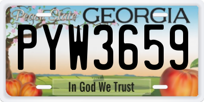 GA license plate PYW3659