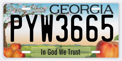 GA license plate PYW3665