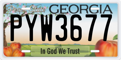 GA license plate PYW3677