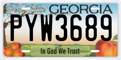 GA license plate PYW3689