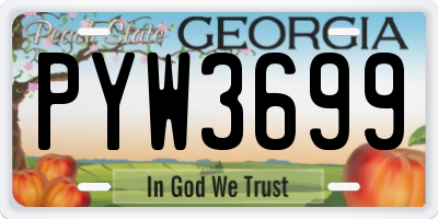 GA license plate PYW3699