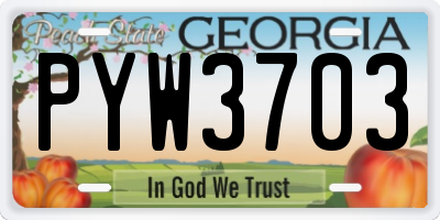 GA license plate PYW3703