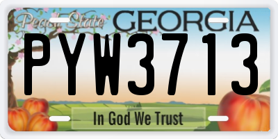 GA license plate PYW3713