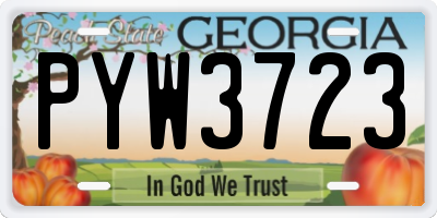 GA license plate PYW3723