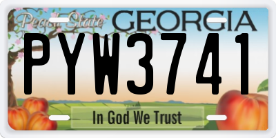 GA license plate PYW3741