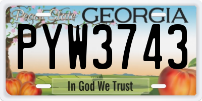 GA license plate PYW3743