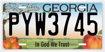GA license plate PYW3745
