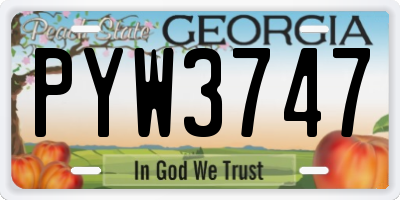 GA license plate PYW3747