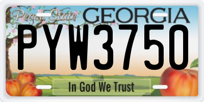GA license plate PYW3750