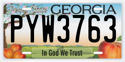 GA license plate PYW3763