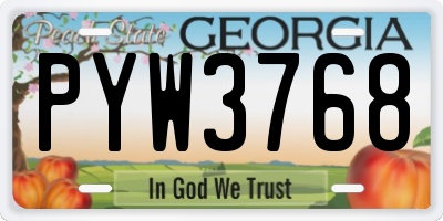 GA license plate PYW3768