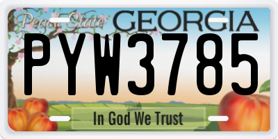 GA license plate PYW3785