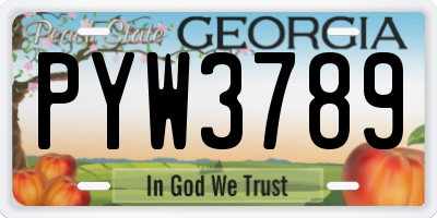 GA license plate PYW3789