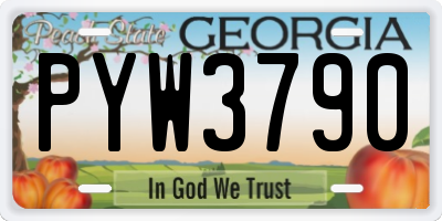 GA license plate PYW3790