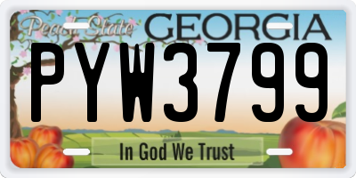 GA license plate PYW3799