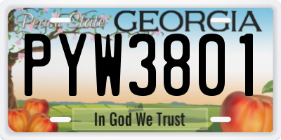 GA license plate PYW3801