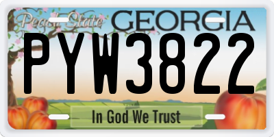 GA license plate PYW3822
