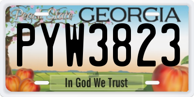 GA license plate PYW3823