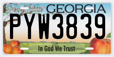 GA license plate PYW3839