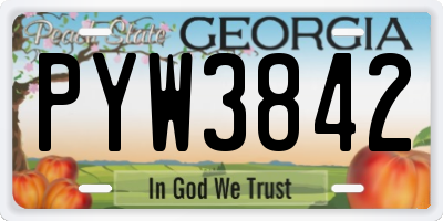 GA license plate PYW3842