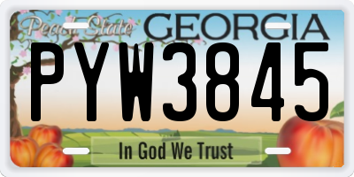 GA license plate PYW3845