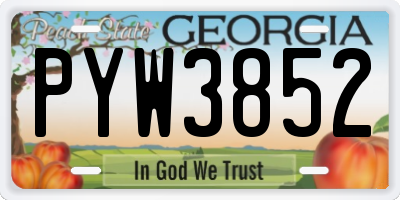 GA license plate PYW3852