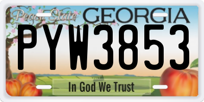 GA license plate PYW3853