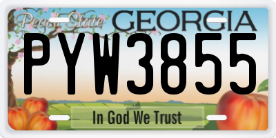 GA license plate PYW3855