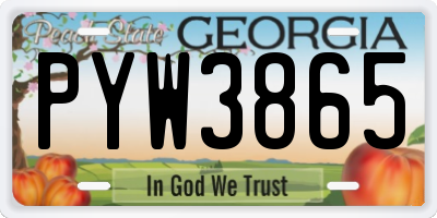 GA license plate PYW3865