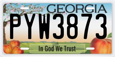GA license plate PYW3873