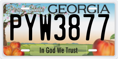 GA license plate PYW3877