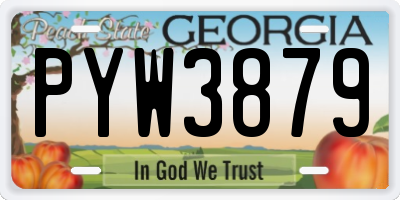GA license plate PYW3879