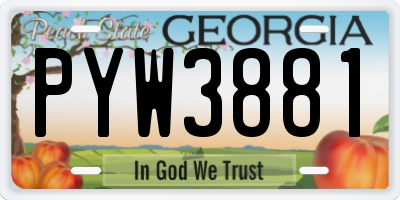 GA license plate PYW3881