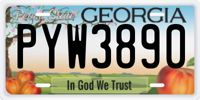 GA license plate PYW3890