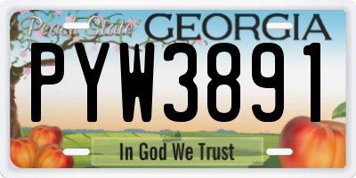 GA license plate PYW3891