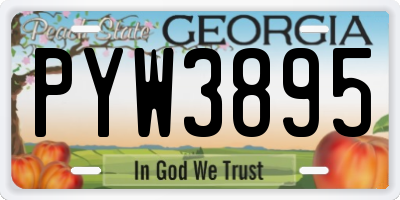 GA license plate PYW3895